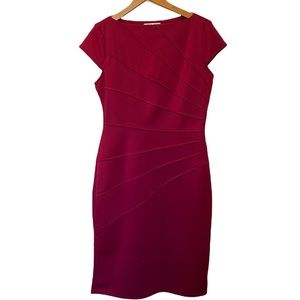 Raspberry Dressbarn Bodycon Dress